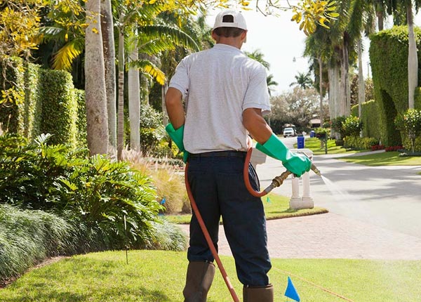 About South Park PA Pest Control Pros